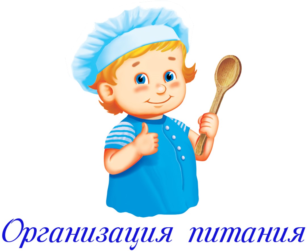 organizaciya pitaniya