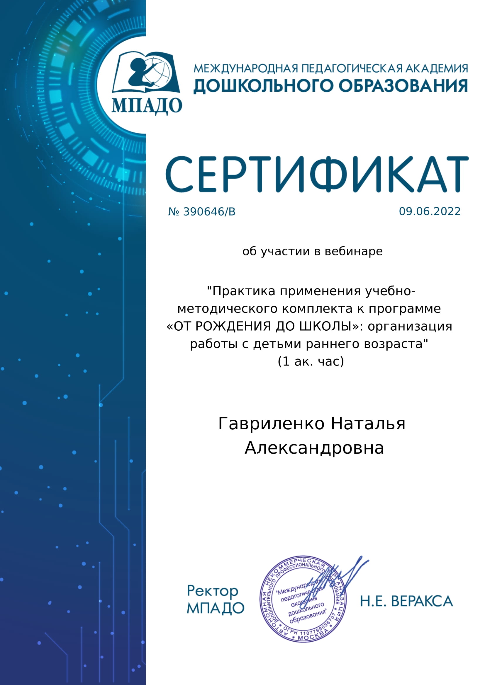 МПАДО организация работы с детьми раннего возраста 1