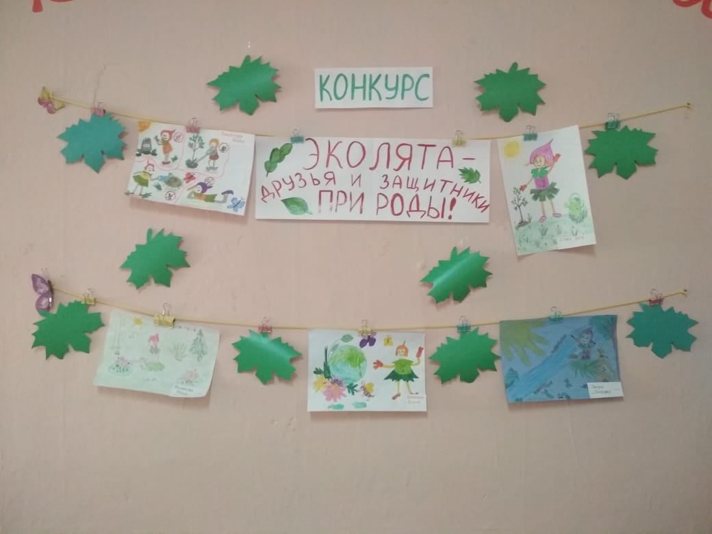 Эколята Выставка Солнышко