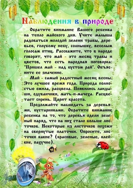 papka 2