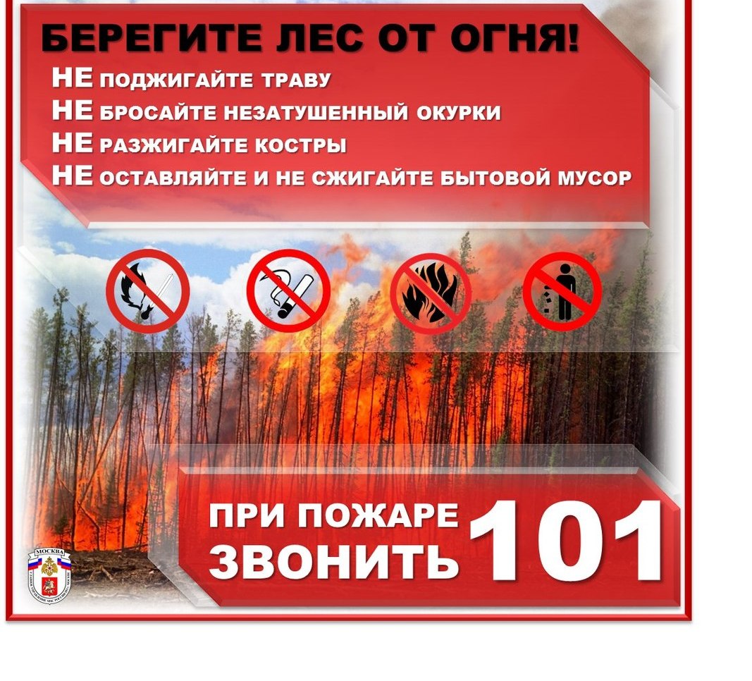 памятка пожар лес