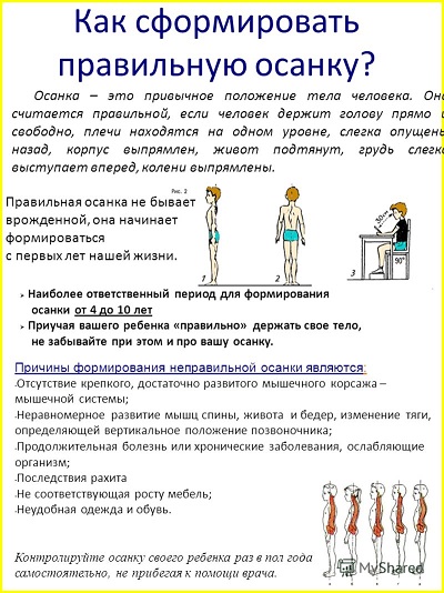 осанка 1